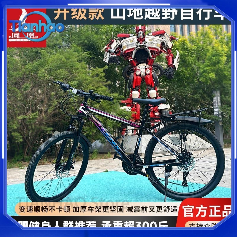 จักรยานเสือภูเขาสำหรับเซี่ยงไฮ - Mountain Biking Phoenix บทวิจารณ์และราคา